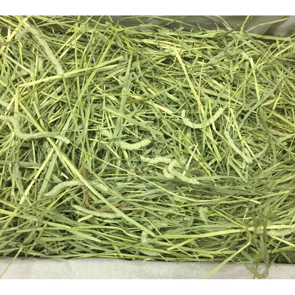 Large Bale Timothy